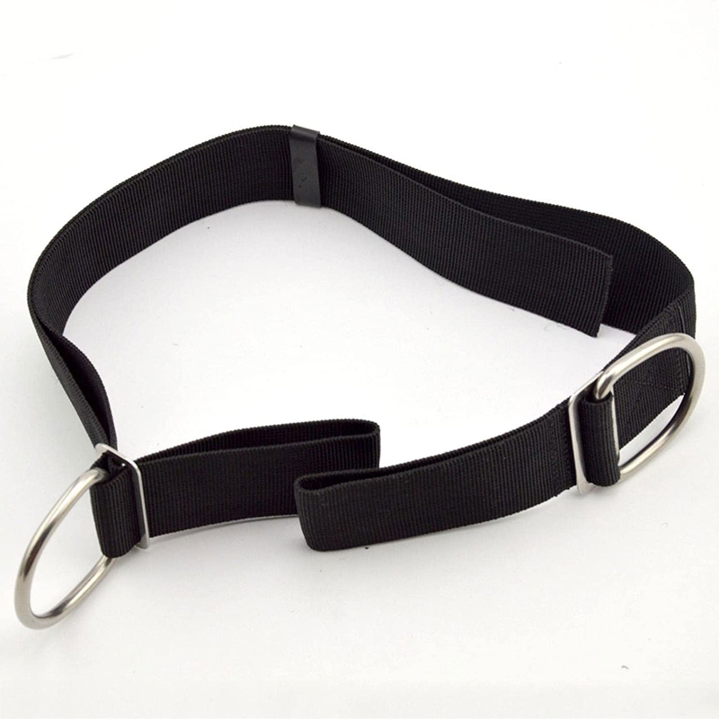 Adjustable Tech Dive Crotch St - Tech Gear Accessories review and price